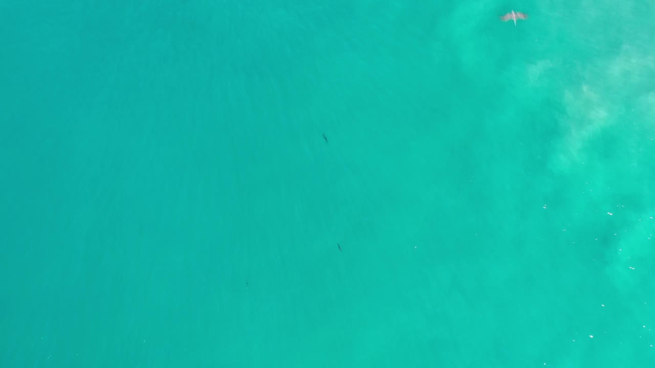 Green translucent sea water fills the frame in Los Cabos, Mexico, with a brighter pale wave patch slightly left of center and no visible people.