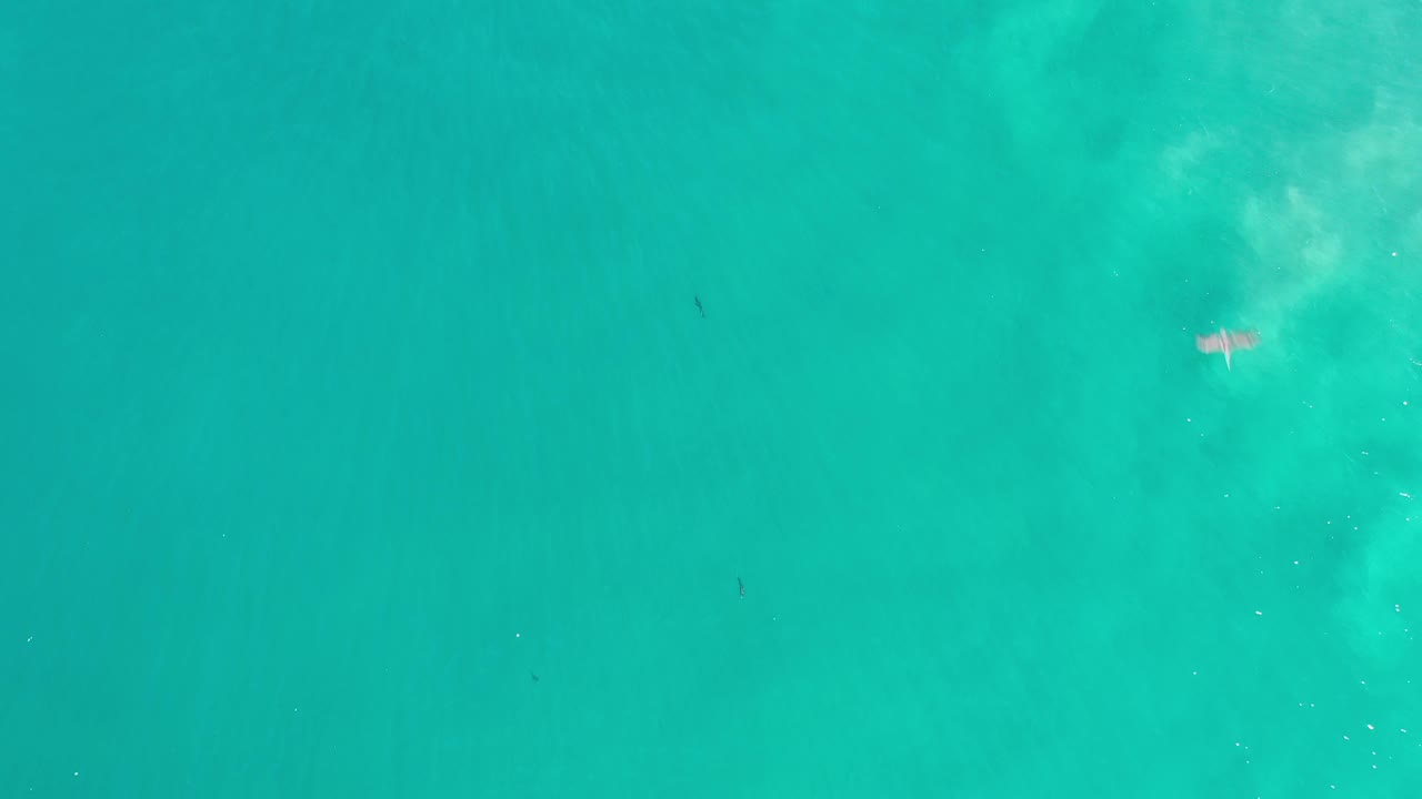 Turquoise aerial sea surface with scattered underwater white texture