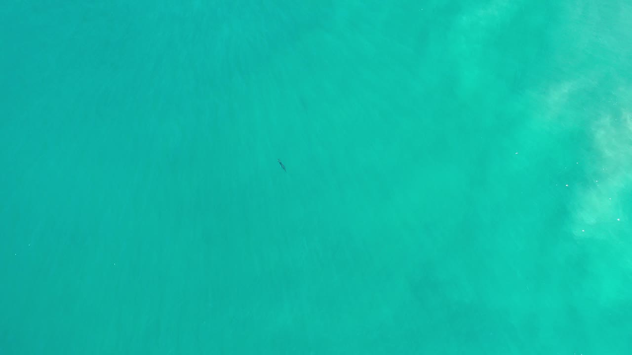 Overhead view of turquoise green water in Los Cabos, Mexico, with pale underwater patches near the upper right and no visible people.