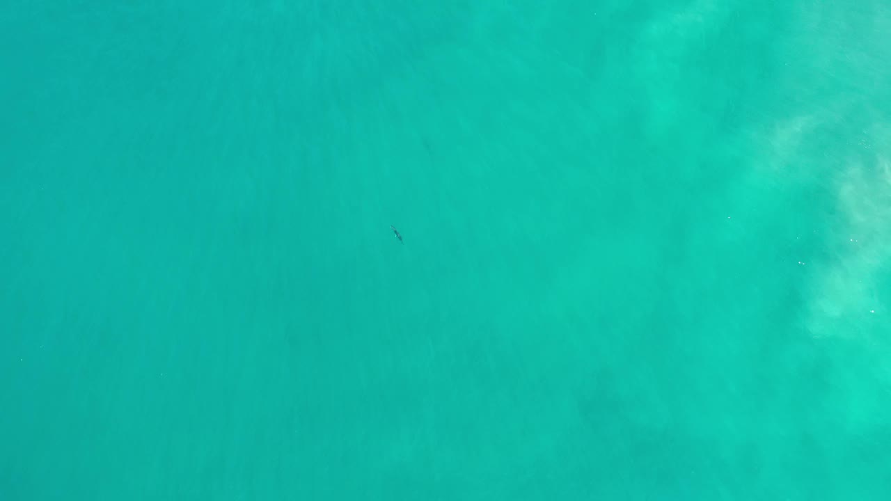 Top-down Los Cabos water frame with translucent green color, cloudy pale seabed areas, a small dark fish shape near the lower left, and no visible people.