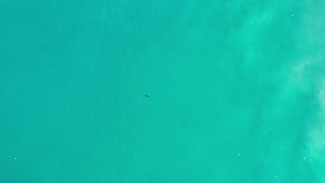 Turquoise water with a tiny dark object near the upper left.
