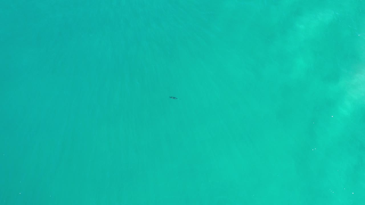 Opening overhead view of turquoise-green seawater in Los Cabos, Mexico, with a small dark shape near the upper left and no visible people.
