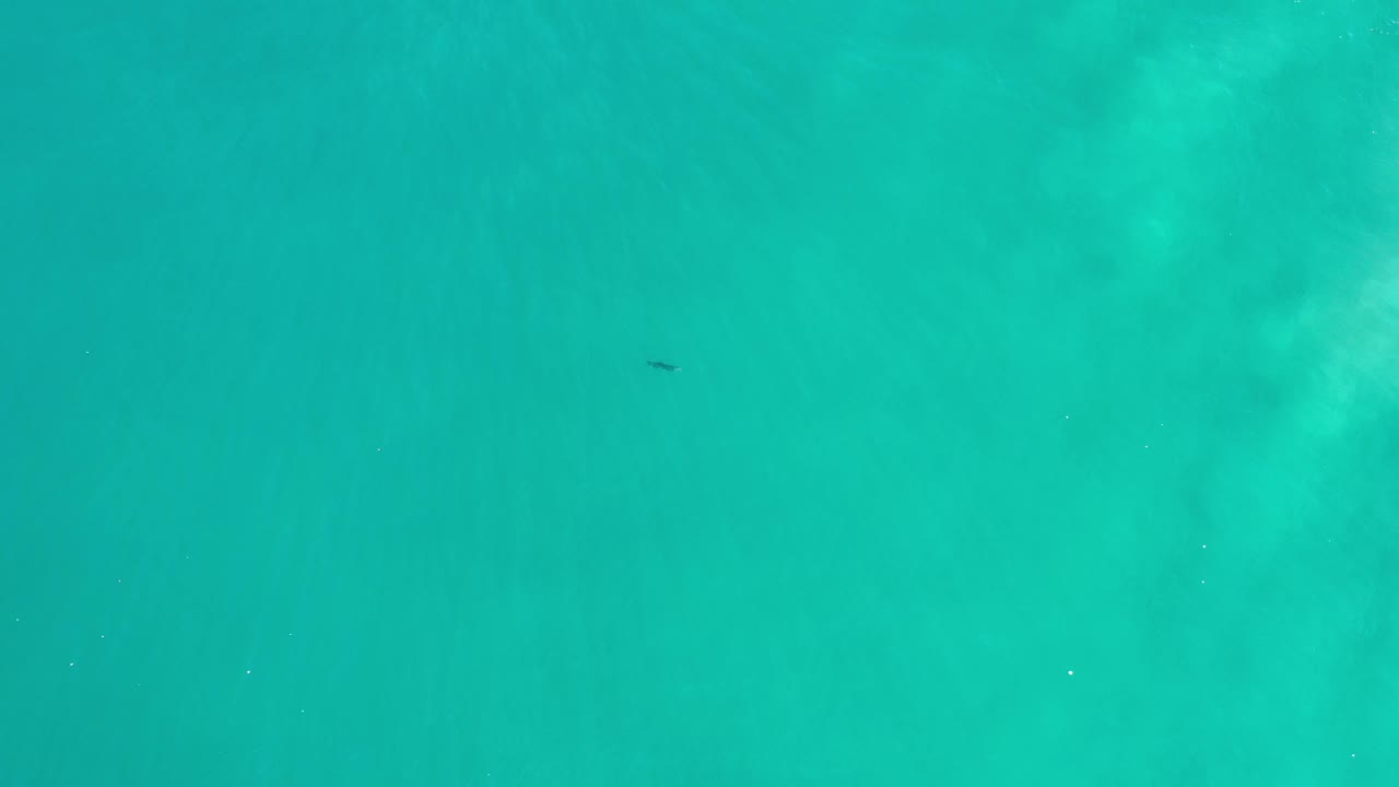 Aerial view of turquoise water with a tiny dark mark near the upper center.