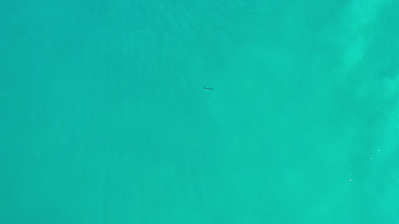 Overhead view of bright turquoise-green ocean in Los Cabos, Mexico, with a tiny dark person-like figure near the upper left area of the frame.