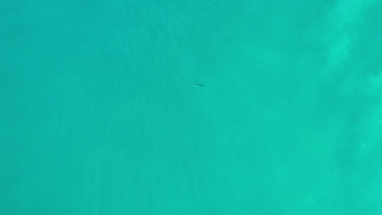 Aerial frame of Los Cabos green-blue sea with soft darker patches below the surface and a small distant person-like mark near the upper center.