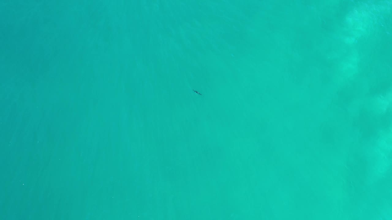Blue-green Los Cabos water fills the frame from above, with pale underwater patches and no visible people.
