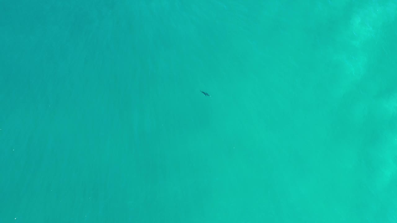 Aerial water view with a small dark shape near the top