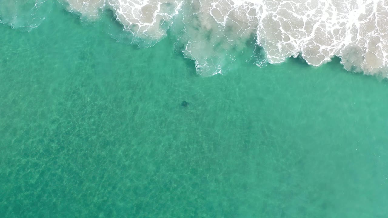 Aerial view of green ocean water in Los Cabos, Mexico, with a broad band of white breaking foam across the upper frame and no visible people.