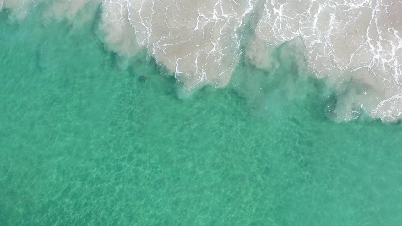 Overhead view of light blue ocean in Los Cabos, Mexico, with white foamy waves near the top edge and a small dark turtle shape underwater, no visible people.