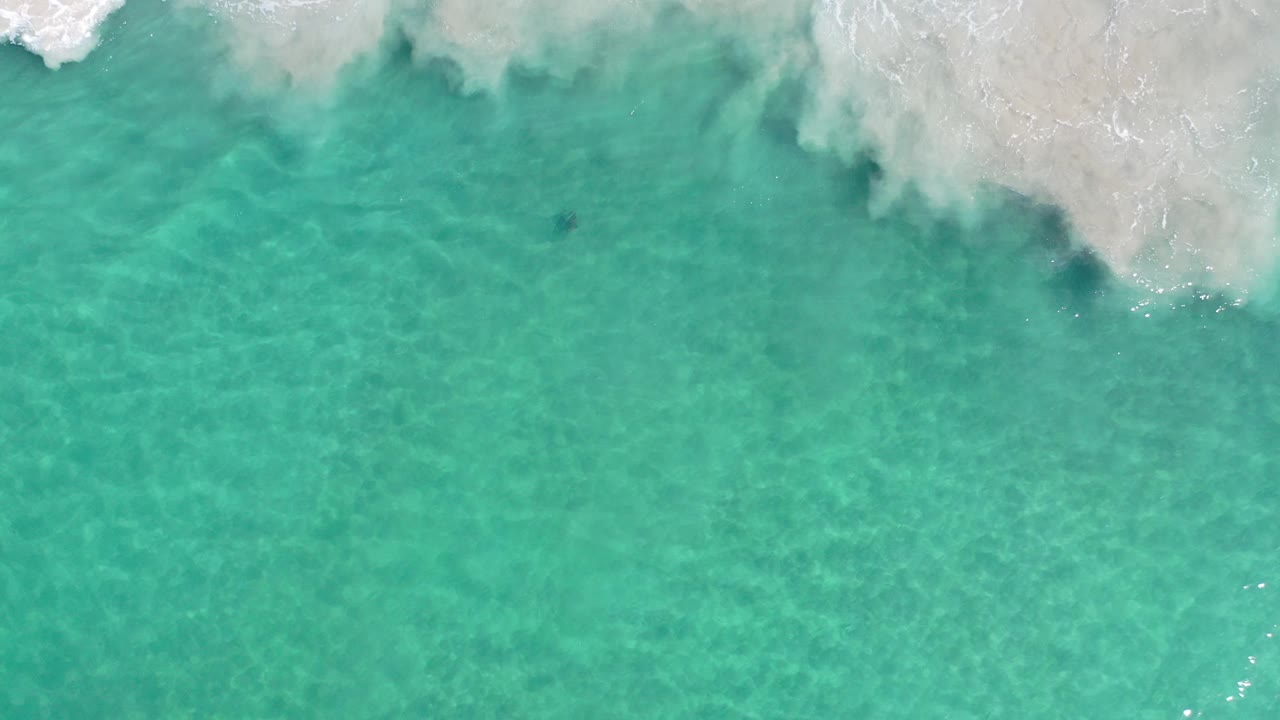 Green ocean surface with white foamy water entering from the top right.