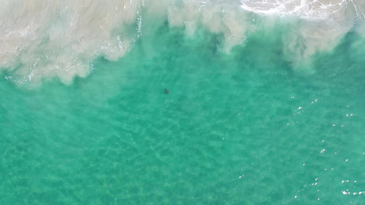 Clear blue-green ocean water in Los Cabos, Mexico, seen from above as pale surf foam stays near the top of frame with no visible people.