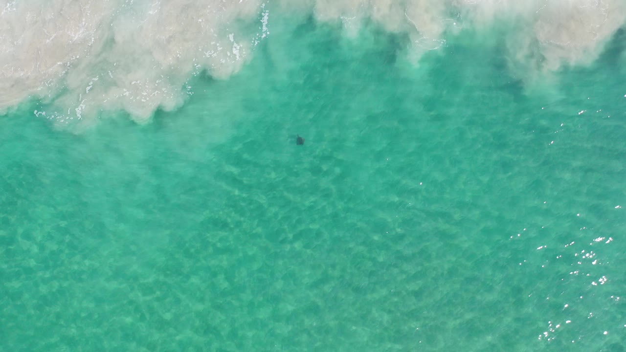 Aerial ocean surface with surf foam and bright water highlights