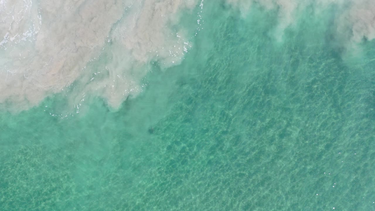 Shallow turquoise ocean with sand visible beneath the water.