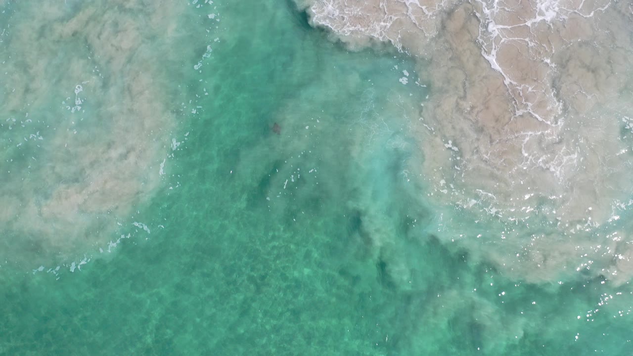 Overhead view of turquoise water and pale sand in Los Cabos, Mexico, with white surf foam near the upper edge and no visible people.