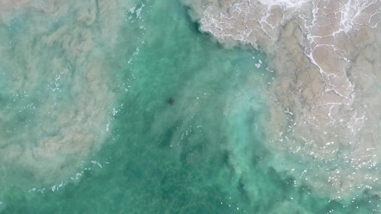Top-down Los Cabos ocean frame with deeper turquoise water in the center, foamy white surf at the upper right, and no visible people.