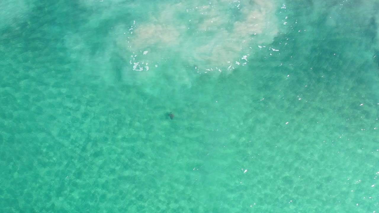 Top-down Los Cabos sea frame with a broad green water field, pale foam near the upper left, bright reflections, and no visible people.