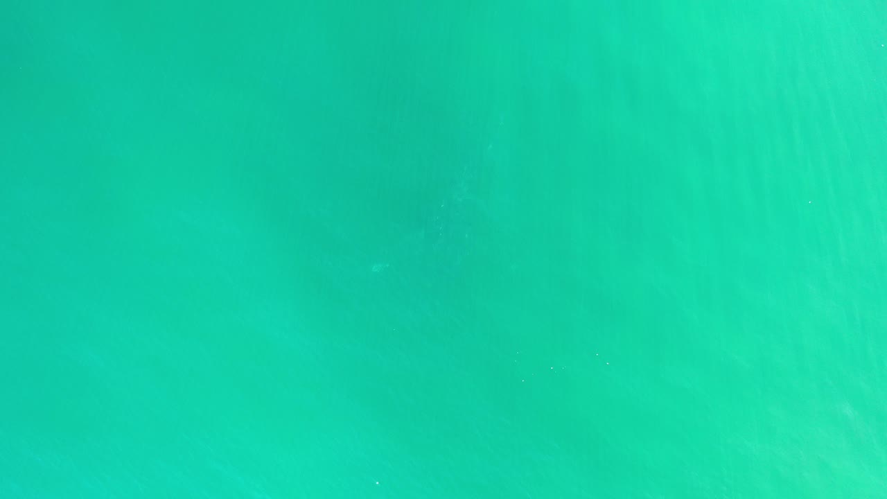 Turquoise green sea water fills the opening frame from Los Cabos, Mexico, with faint underwater texture and no visible people.