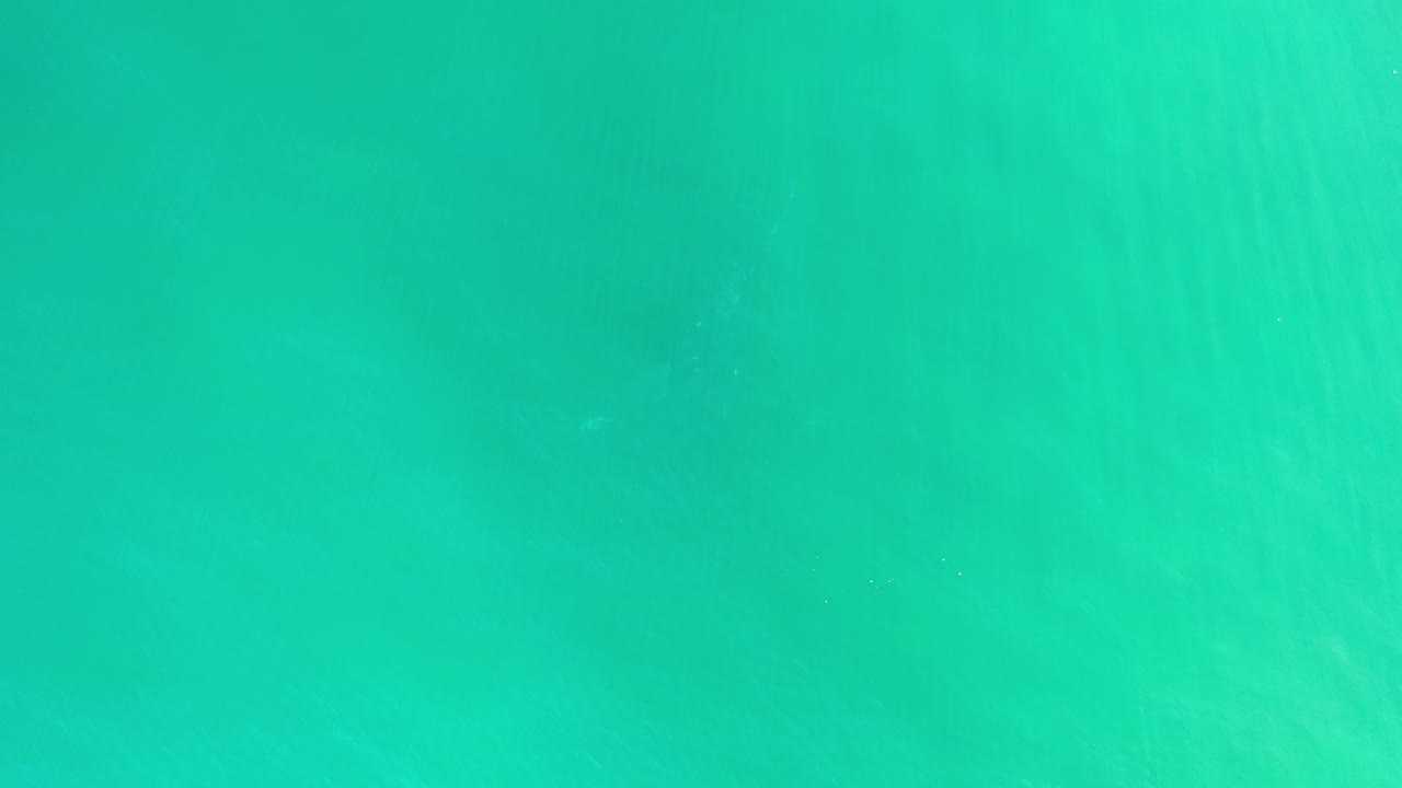 Green ocean water fills the second frame, with slightly darker soft patches beneath the surface and no visible people.