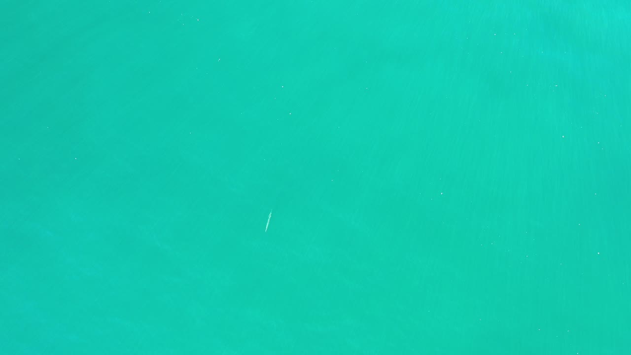 Blue-green underwater view with tiny pale fish streaks.