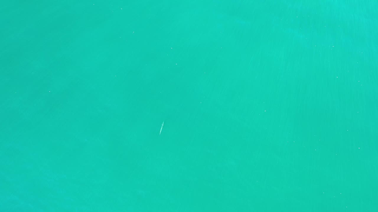 Open aqua water with small white fish streaks.