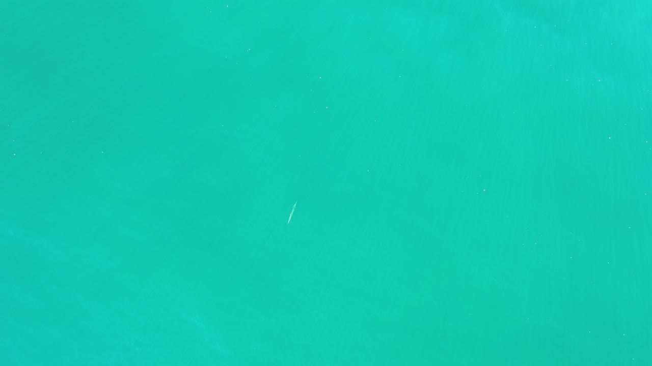 Green Los Cabos water appears as an even field of color, with the pale fish mark slightly shifted under the surface and no visible people.