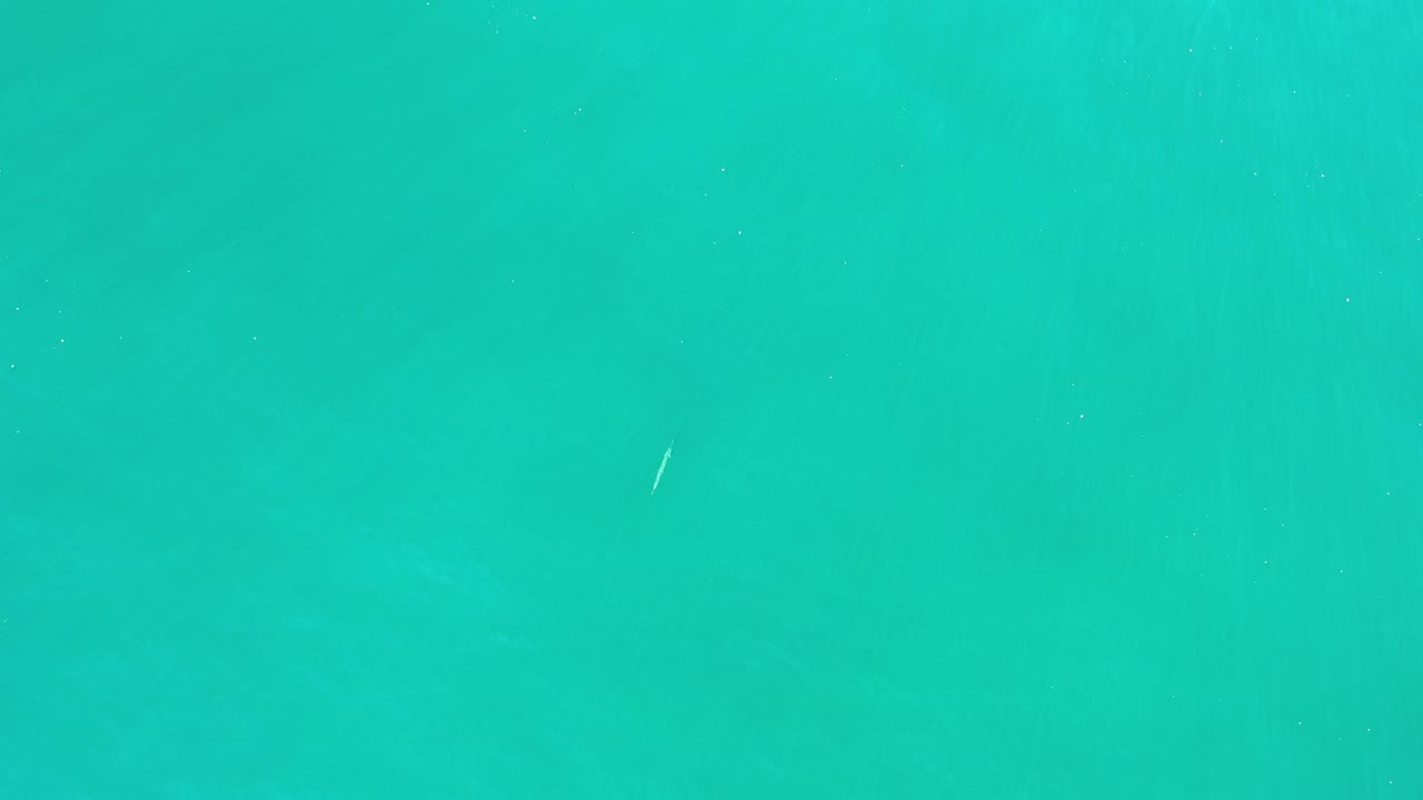 Clear green water with subtle wave bands and a pale fish below.