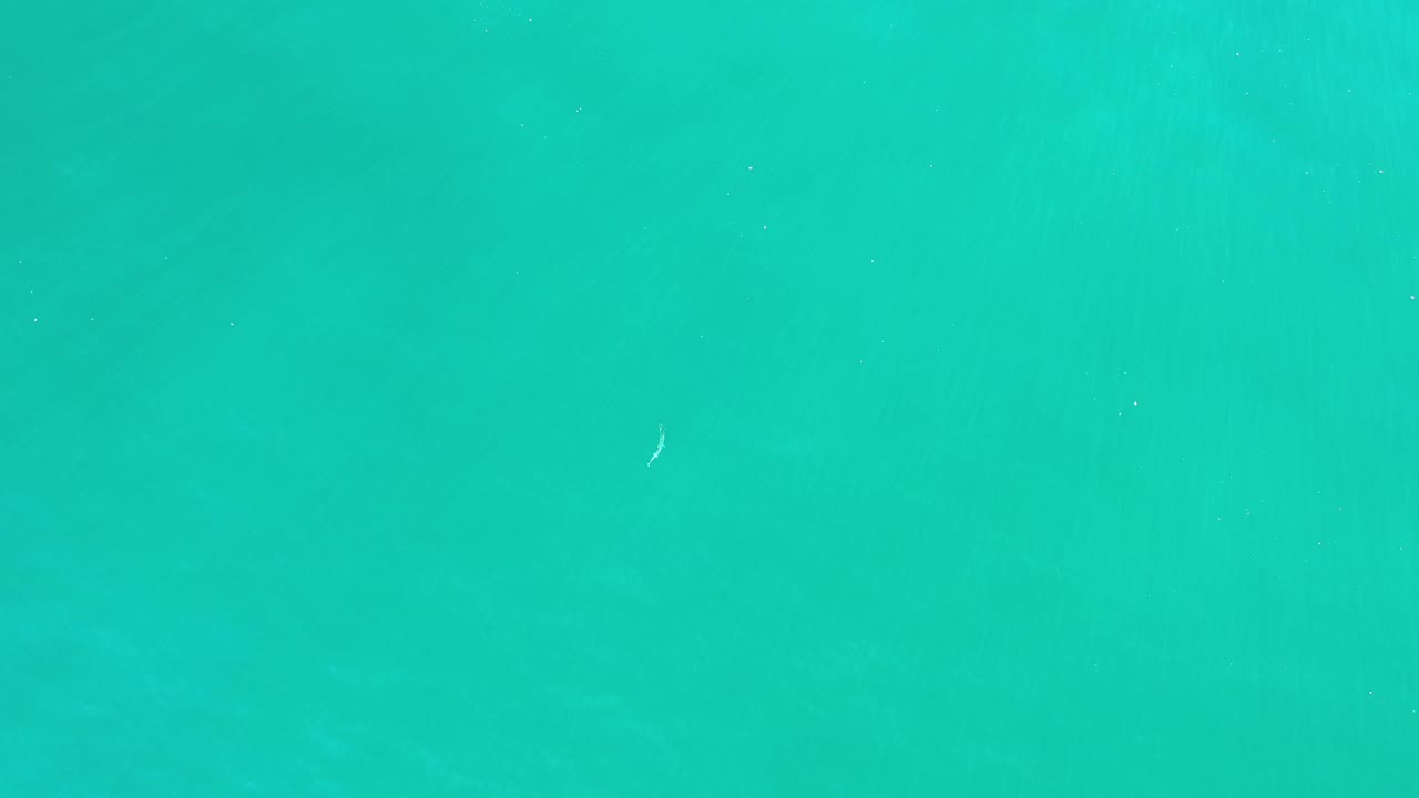 Green seawater fills the frame in Los Cabos, Mexico, with faint underwater texture and a small pale fish-like mark against the open water, no visible people.