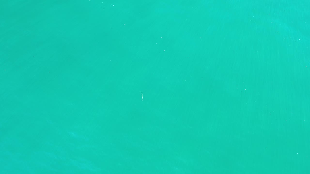 Turquoise water with a tiny pale fish shape near the upper middle.