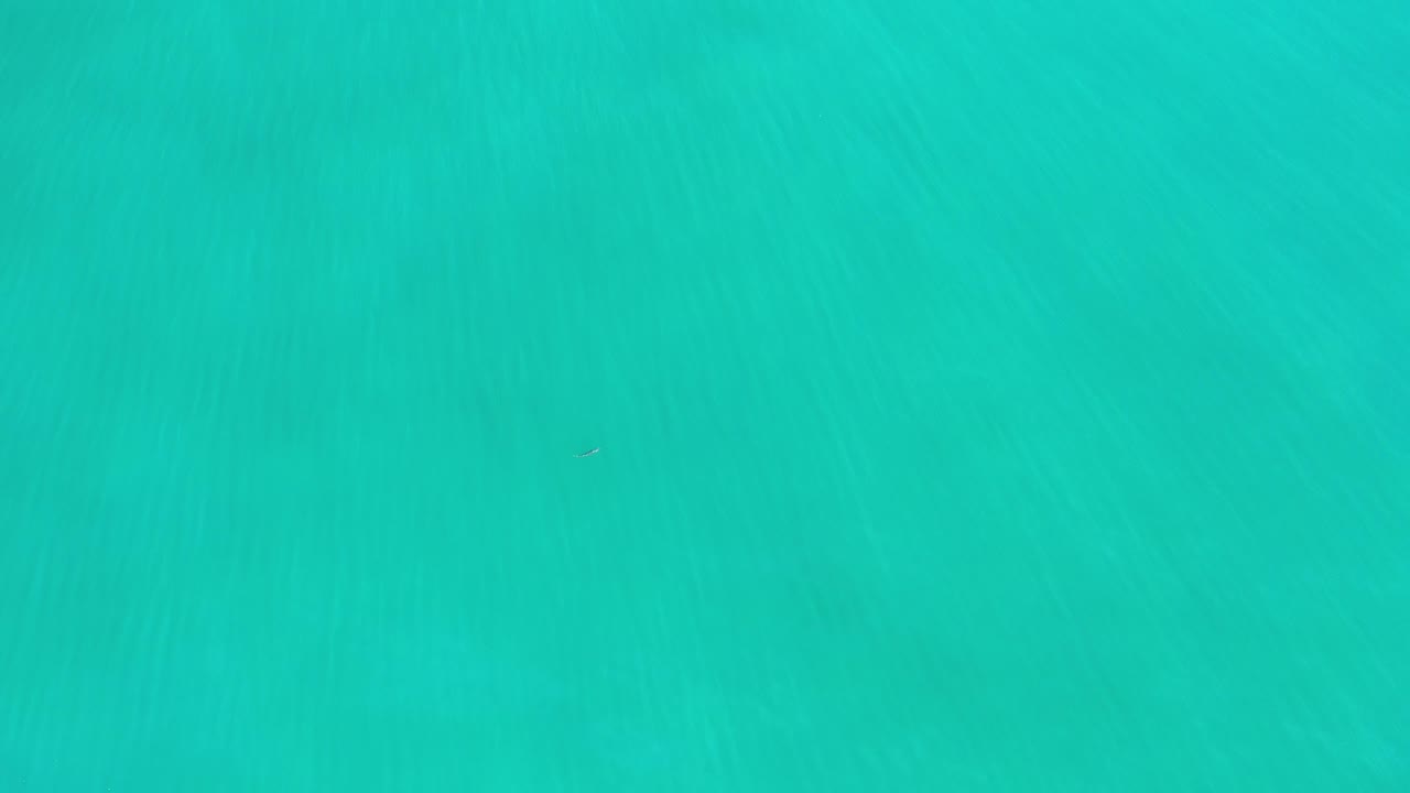 Green ocean surface with subtle tonal bands and underwater shadow.