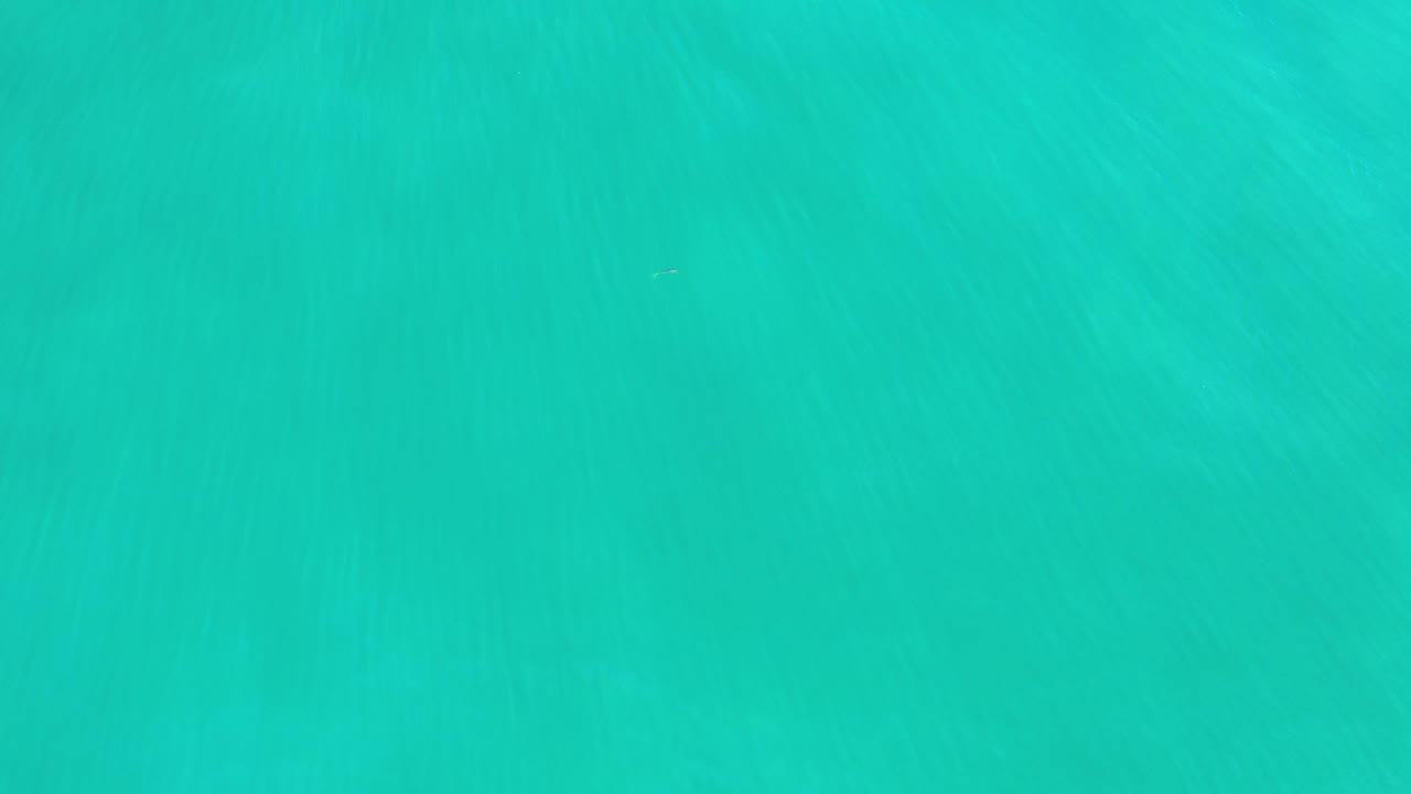 Turquoise clear water fills the frame.
