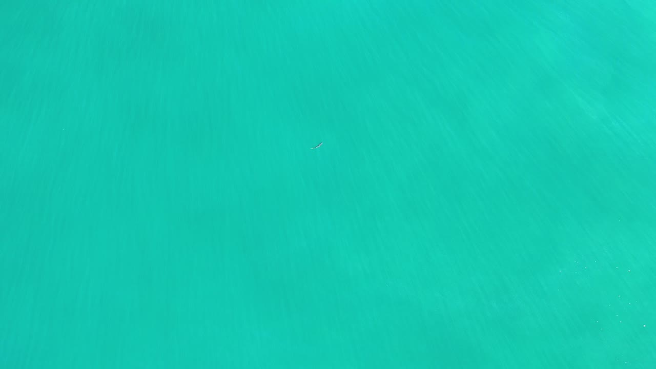Overhead view of turquoise-green water in Los Cabos, Mexico at the start of the clip, with faint ripples and no identifiable people visible.