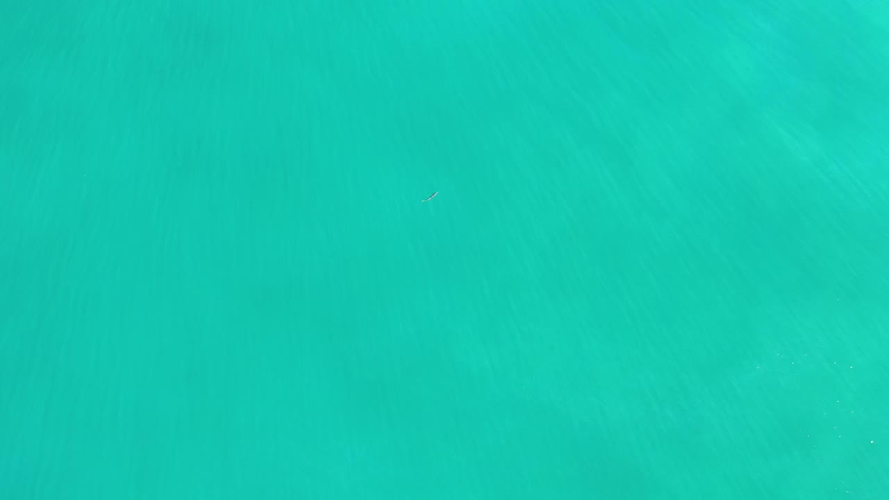 Blue-green water fills the Los Cabos frame, with soft tonal variation under the surface and no identifiable people visible.