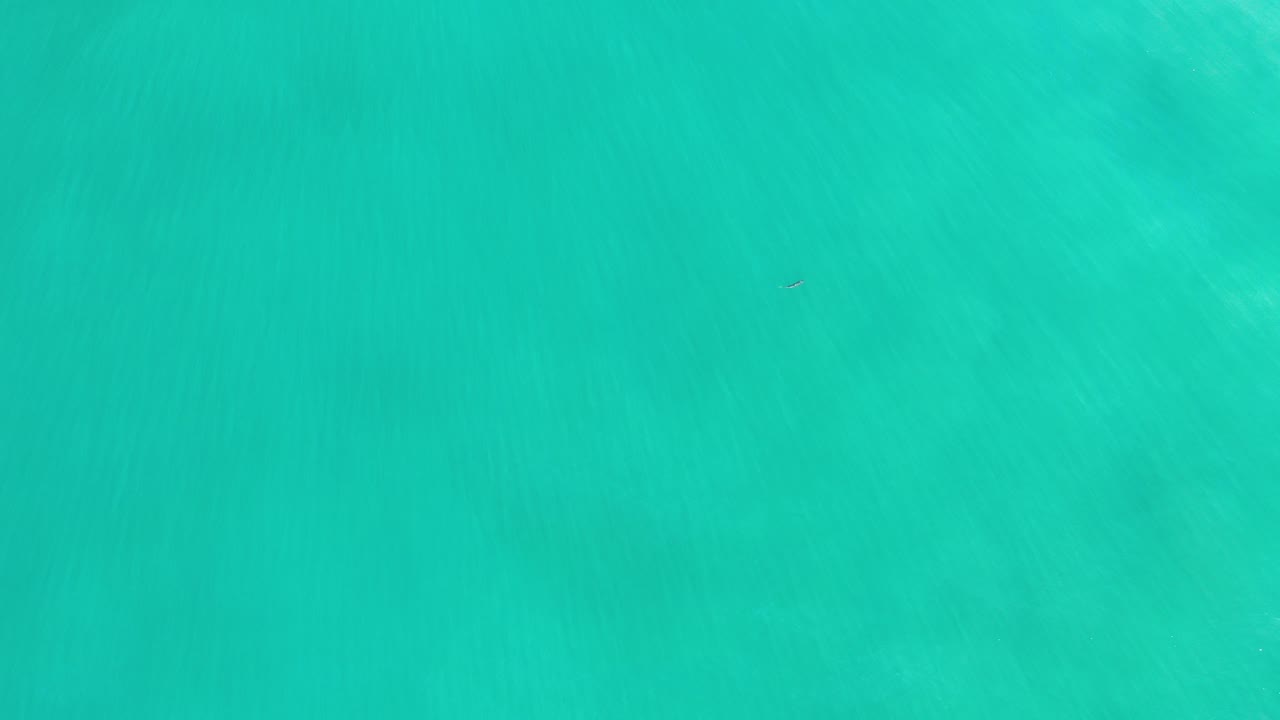 Overhead view of aqua-turquoise water in Los Cabos, Mexico, with soft shadowing and fine wind ripples, no visible people.