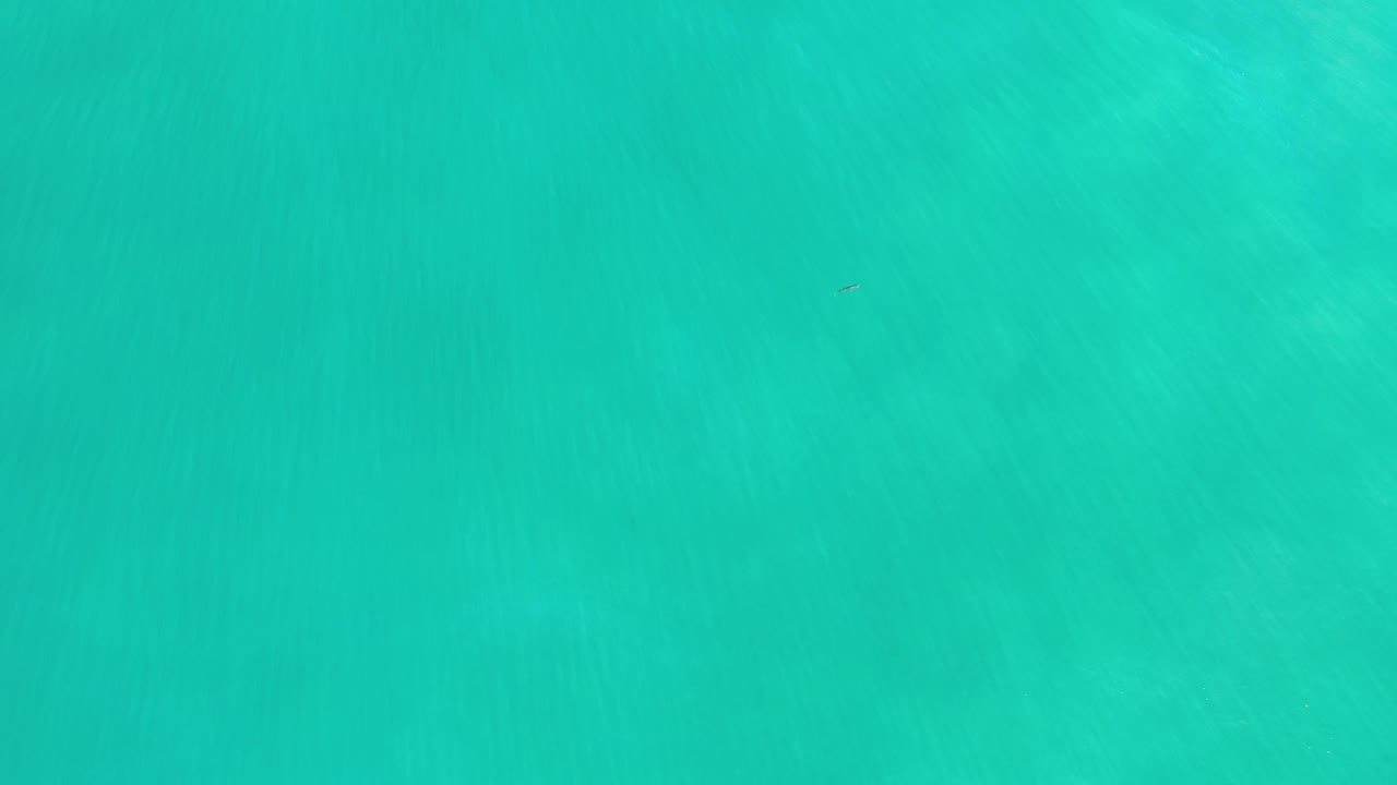 Aqua water surface with broad soft shadows under sunlight.
