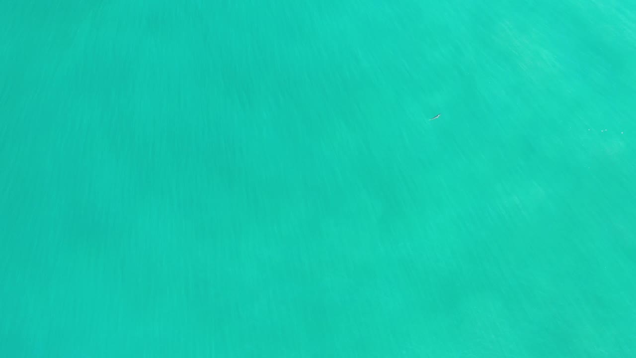 Bright green-blue ocean surface fills the frame in Los Cabos, Mexico, with subtle tonal bands and no visible people.