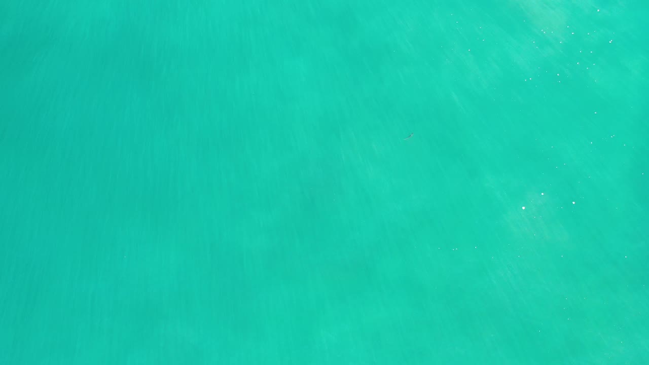 Green-blue translucent seawater fills the Los Cabos frame, with soft tonal variation under the surface and no visible people.