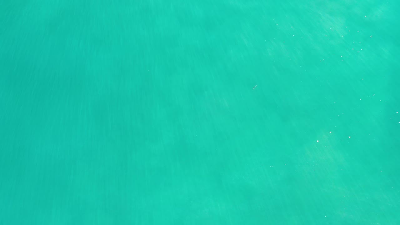 Turquoise water with a small white bird-like shape.