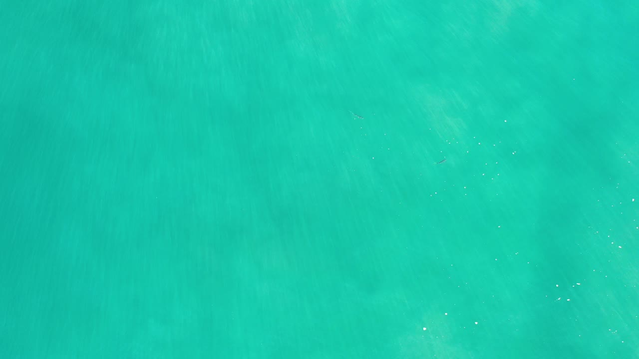 Turquoise-green ocean water fills the first frame from Los Cabos, Mexico, with soft ripples and no visible people.