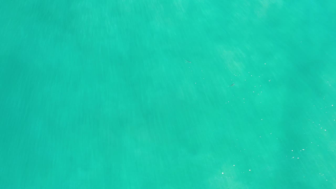 Green sea surface in Los Cabos shows pale light streaks and small ripple marks, with no visible people.
