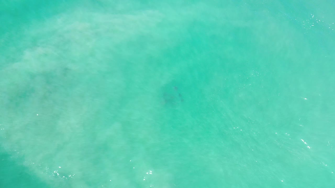 Opening frame of turquoise shallow sea in Los Cabos, Mexico, with pale misty water texture and no visible people.