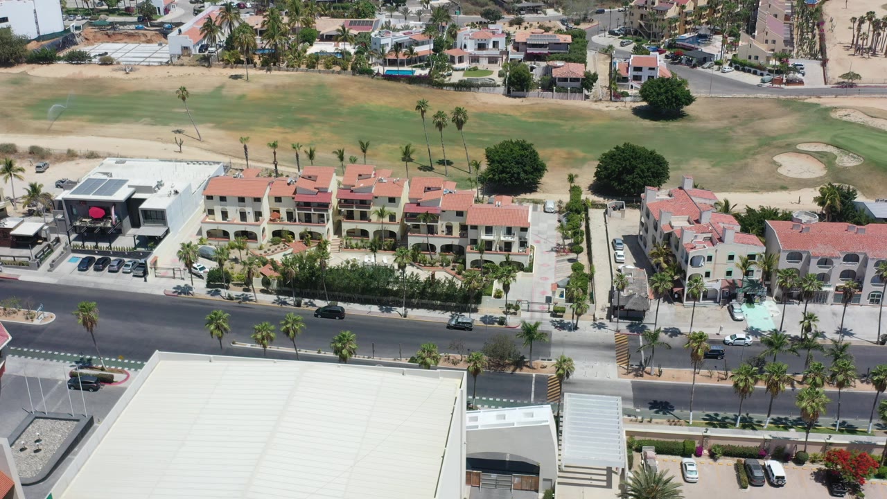 Aerial view of palm-lined road, low-rise buildings, and open landscaped ground.
