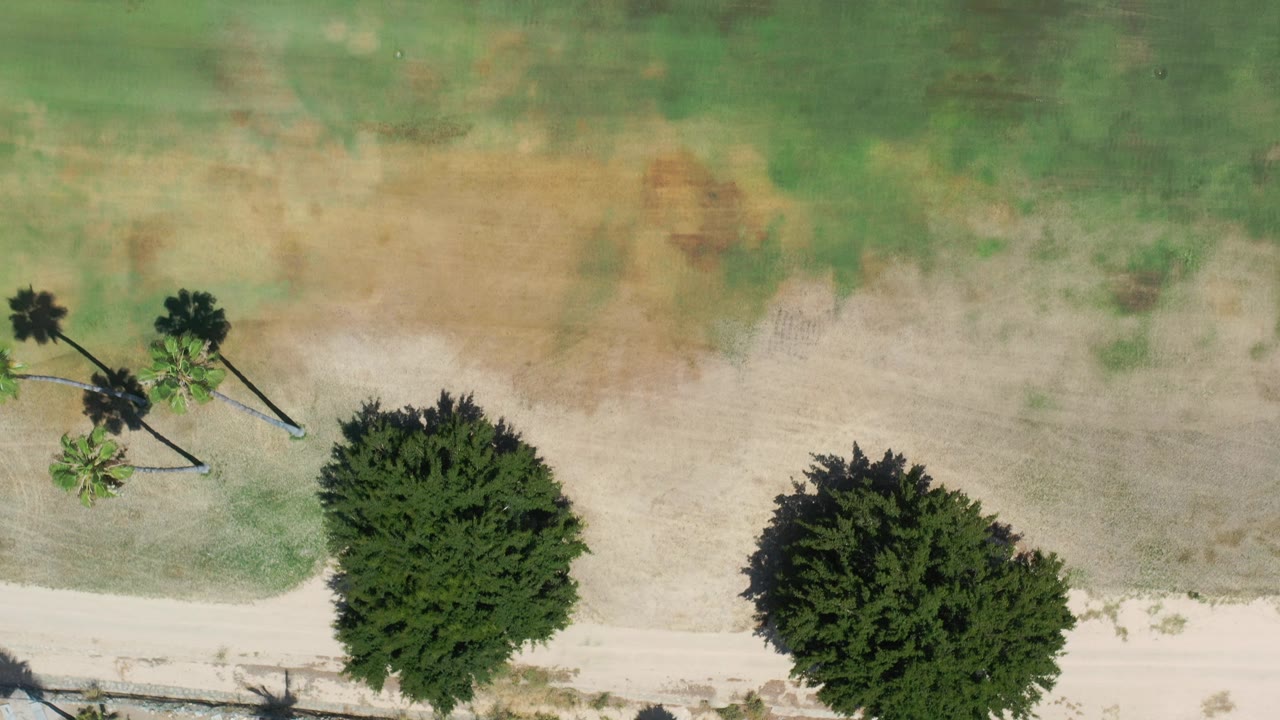 Overhead green and tan open space with a path edge, palms, and tree shadows.