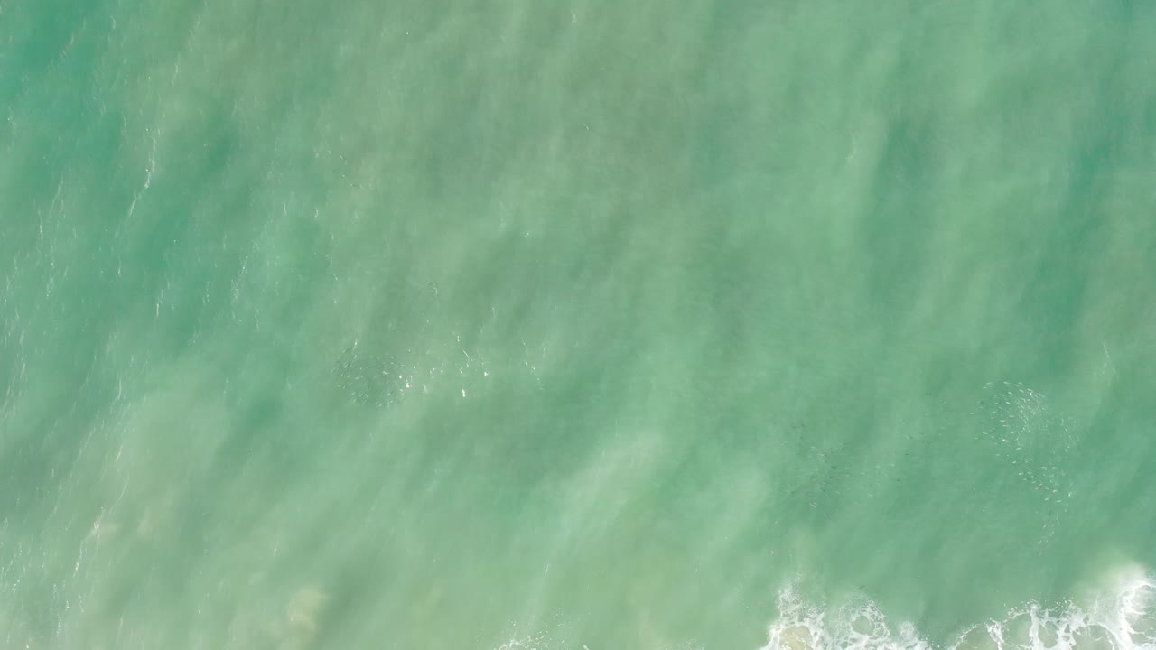 Overhead view of green ocean water near Los Cabos, Mexico, with a thin line of white surf entering along the lower edge and no visible people.