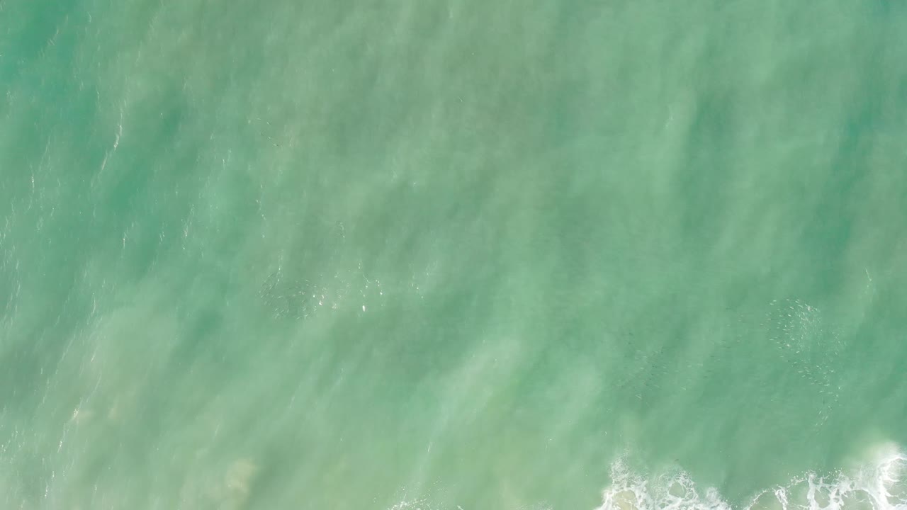 Green ocean water fills the frame near Los Cabos, Mexico, with faint darker streaks in the water and white foam gathering near the bottom, no visible people.