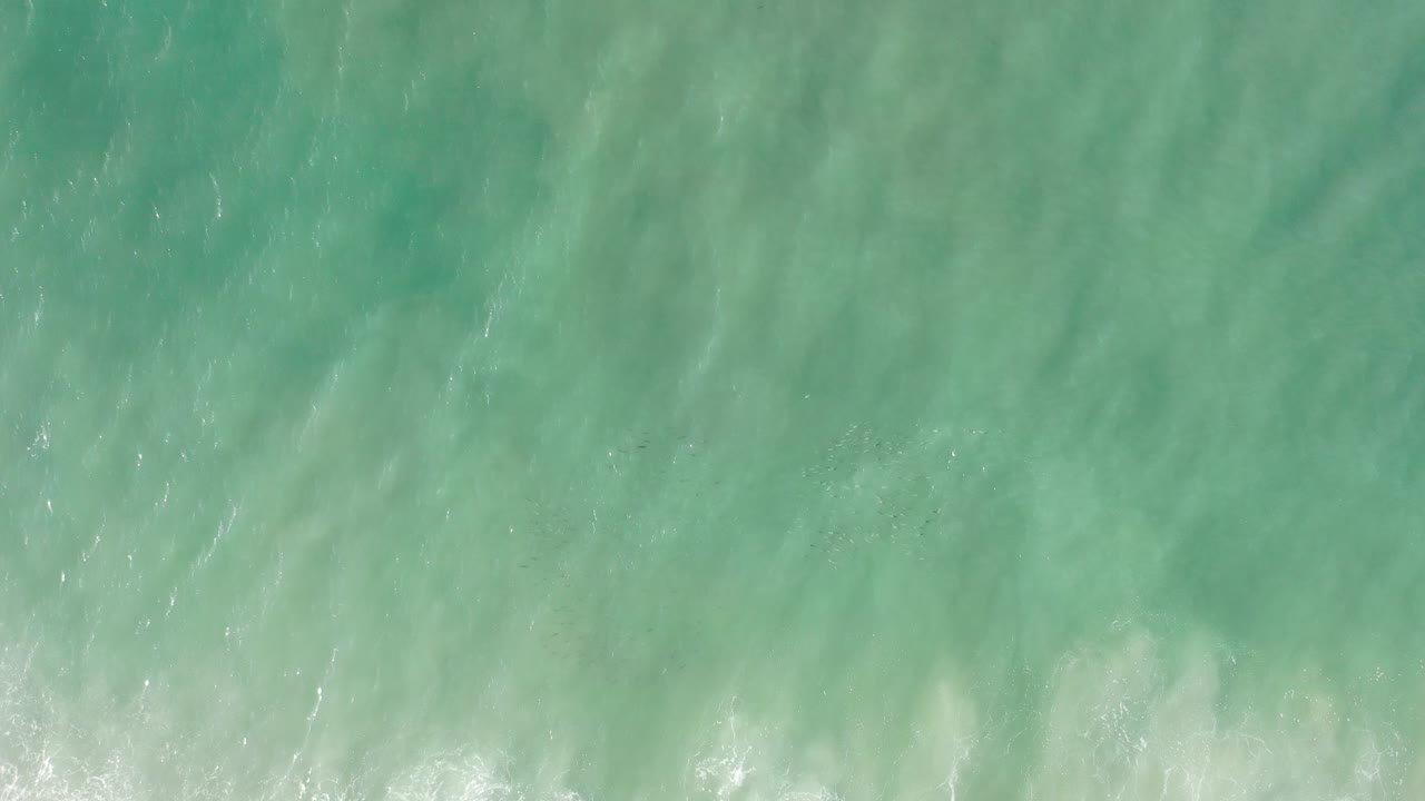 Overhead view of green-blue water in Los Cabos, Mexico, with faint foam along the lower edge and no visible people.