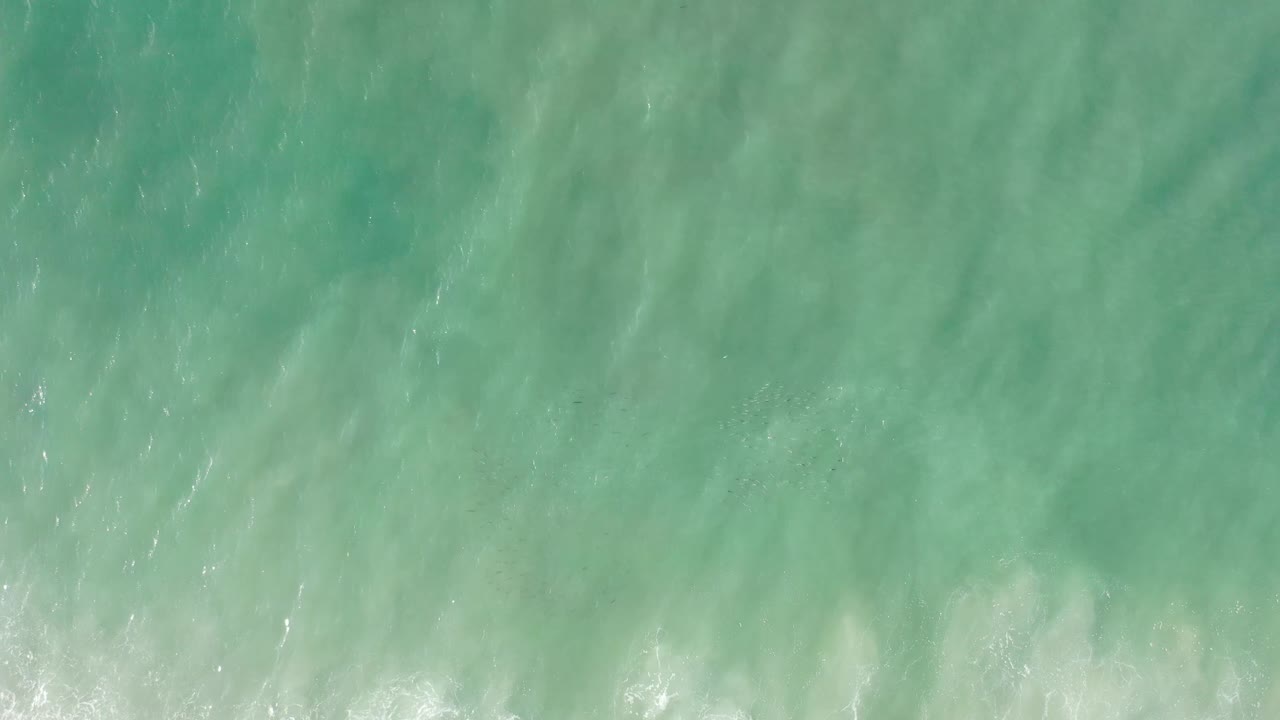 Clear Los Cabos seawater fills the frame, with pale surf foam entering near the bottom and no visible people.
