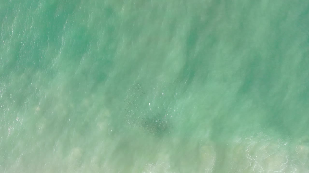 Overhead green ocean water with faint wave texture.