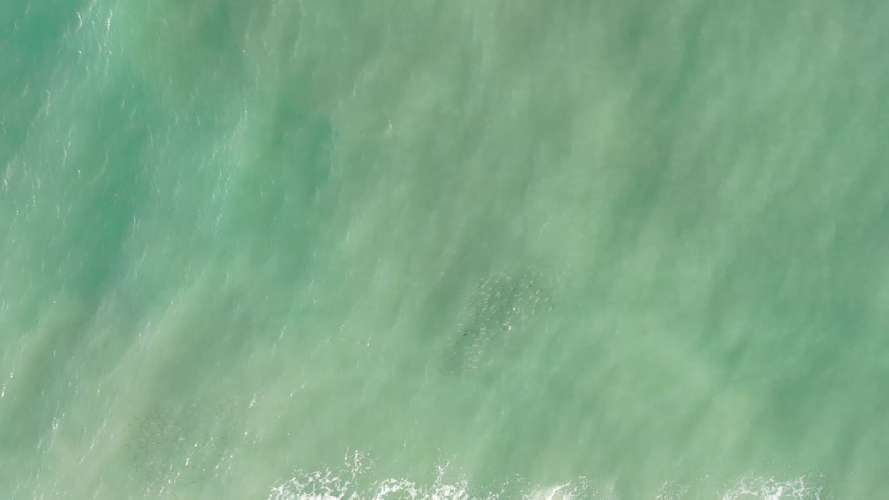 Aerial-looking frame of Los Cabos turquoise water with soft darker streaks below the surface, light ripples, and no visible people.