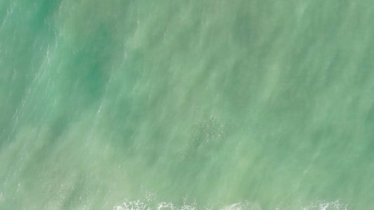 Top-down ocean water with pale green-blue color and scattered highlights.