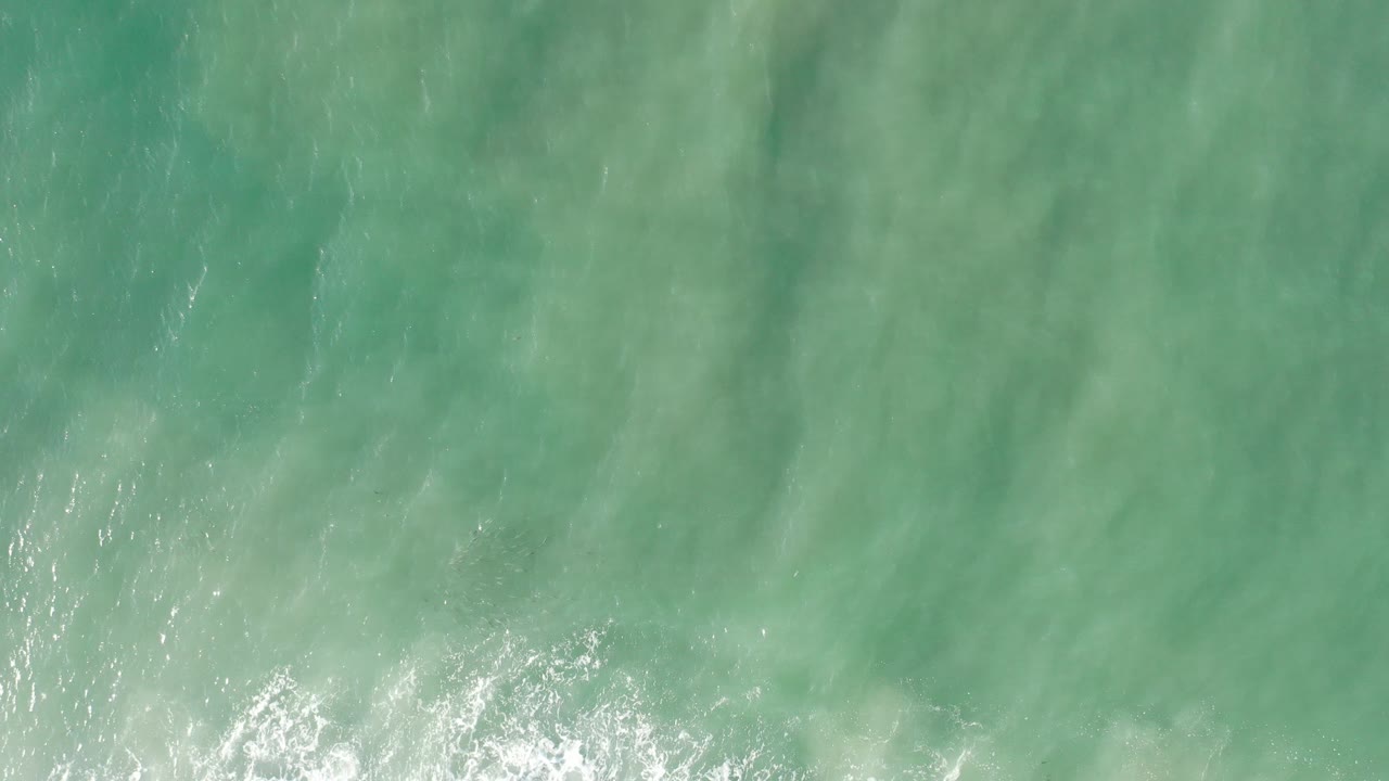 Overhead view of pale green ocean water in Los Cabos, Mexico, with a thin area of white foam near the bottom edge and no visible people.